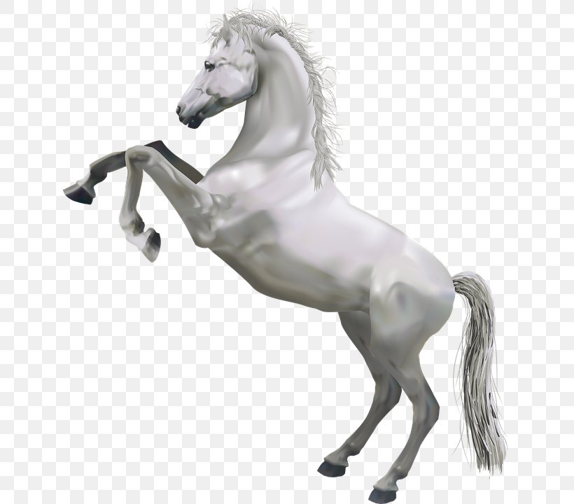 Horse Clip Art, PNG, 639x720px, Horse, Black And White, Display Resolution, Horse Like Mammal, Horse Supplies Download Free