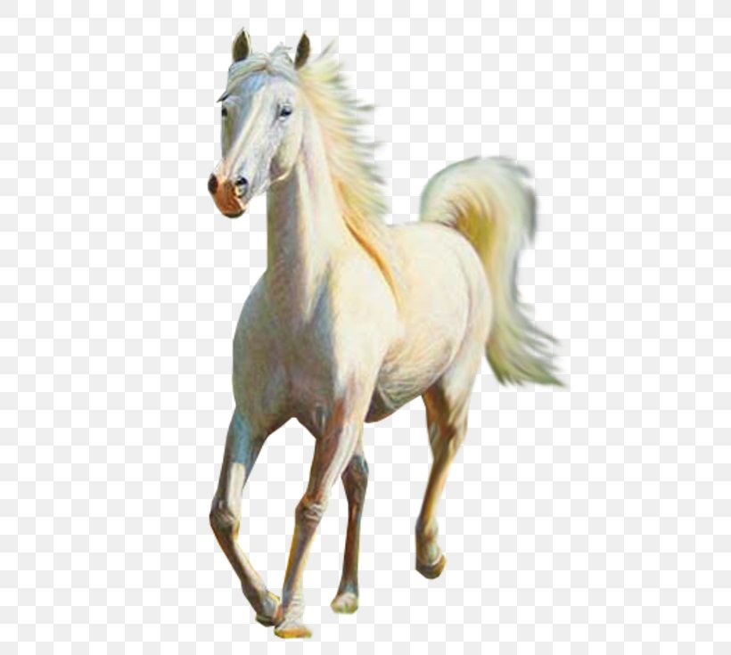 Horse Equestrian Centre .net Animal, PNG, 500x735px, Horse, Animal, Animal Figure, Blog, Clothing Download Free