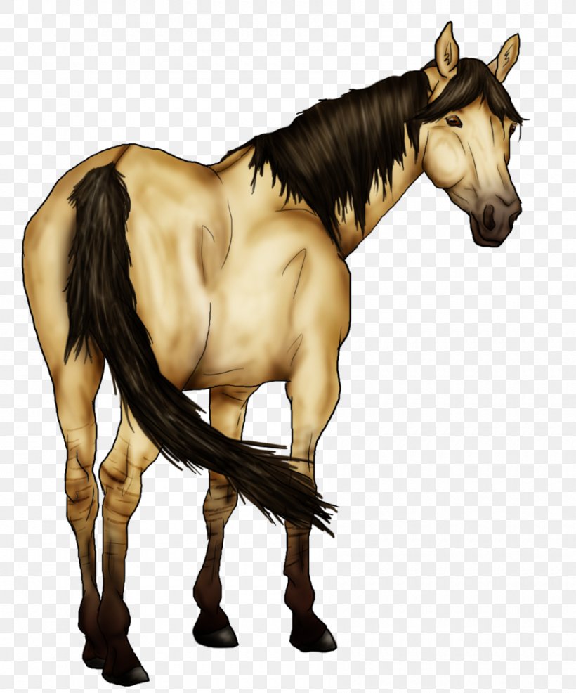 Mane Mustang Stallion Foal Colt, PNG, 900x1083px, Mane, Art, Colt, Fictional Character, Florida Kraze Krush Soccer Club Download Free