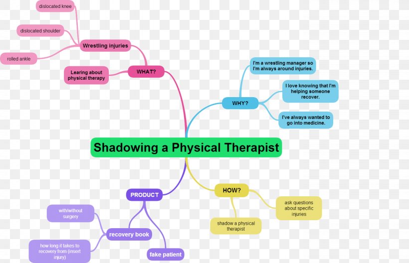 Physical Therapy Occupational Therapy Mind Map, PNG, 1382x891px, Physical Therapy, Brand, Cardiology, Communication, Diagram Download Free