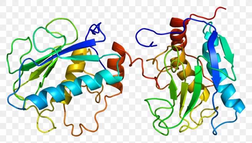 Stromelysin 1 Matrix Metalloproteinase Inhibitor MMP9, PNG, 959x544px, Matrix Metalloproteinase, Art, Artwork, Body Jewelry, Elafin Download Free