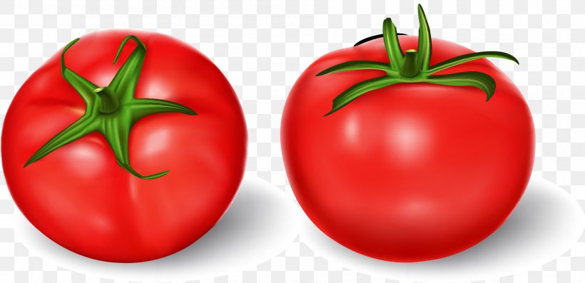 Tomato Royalty-free Vegetable Illustration, PNG, 1885x913px, Tomato, Apple, Bell Peppers And Chili Peppers, Bush Tomato, Diet Food Download Free