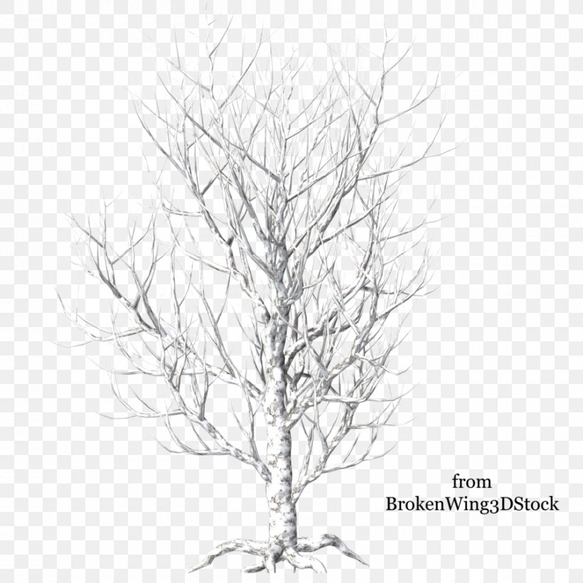 Tree Branch Winter Clip Art, PNG, 900x900px, Tree, Black And White, Branch, Christmas Tree, Drawing Download Free