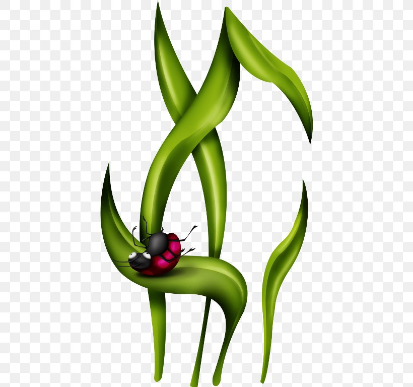 Beetle Coccinella Clip Art, PNG, 422x768px, Beetle, Animated Film, Cartoon, Coccinella, Flora Download Free