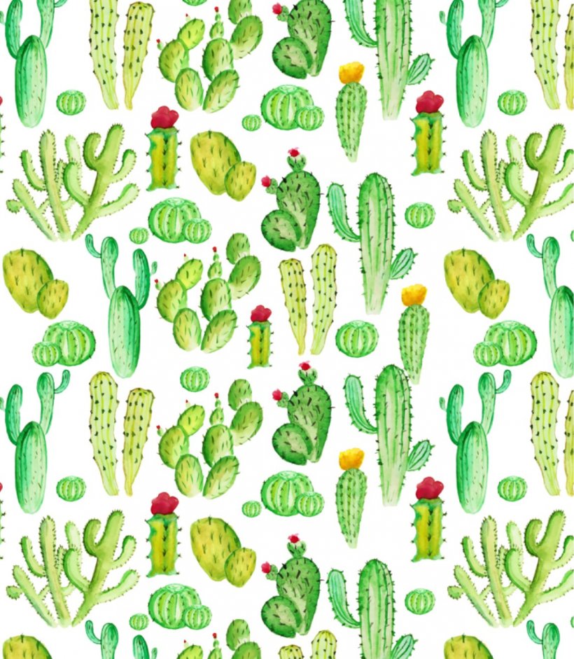 Cactaceae Succulents And Cactus Succulent Plant Desert Drawing, PNG, 1266x1454px, Cactaceae, Aquarium Decor, Art, Color, Desert Download Free