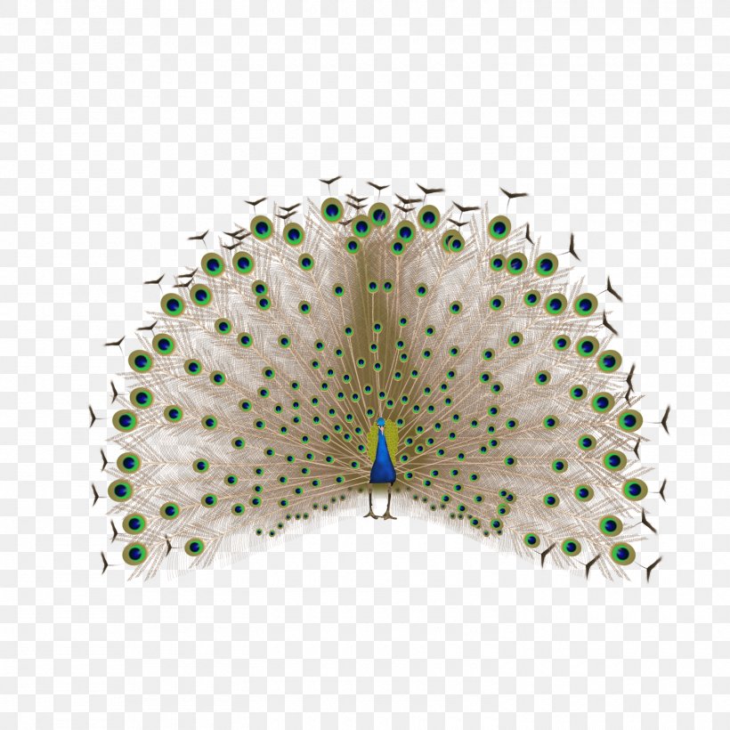 Feather Peafowl, PNG, 1500x1500px, Feather, Cartoon, Cooking, Creativity, Fenghuang Download Free