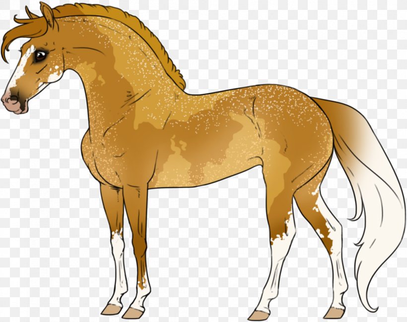 Mane Foal Stallion Colt Mustang, PNG, 1003x796px, Mane, Animal, Animal Figure, Bridle, Colt Download Free