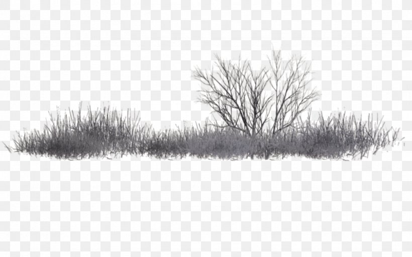 Black And White PicsArt Photo Studio Tree, PNG, 1024x639px, Black And White, Branch, Drawing, Editing, Grass Download Free