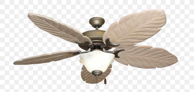 Ceiling Fans Minka Aire Gauguin Lowe S Png 800x392px