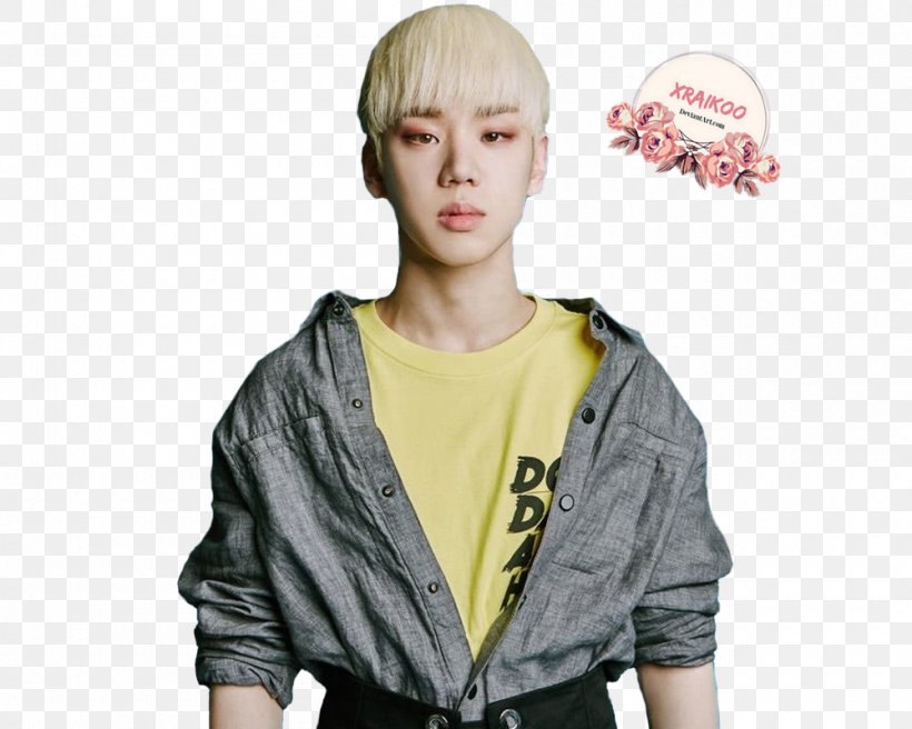 Kim Byeongkwan A.C.E Mix Nine CACTUS K-pop, PNG, 1000x800px, Ace, Beat Interactive, Boy Band, Cactus, Donghun Download Free