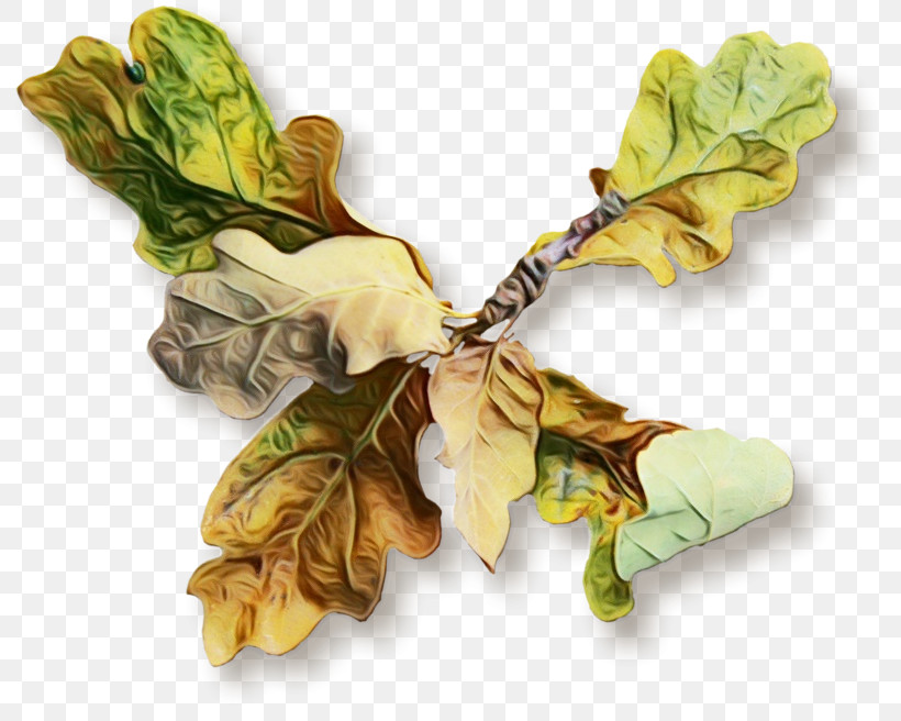 Leaf Yellow Plant Tree Pendant, PNG, 800x656px, Watercolor, Brooch, Flower, Jewellery, Leaf Download Free