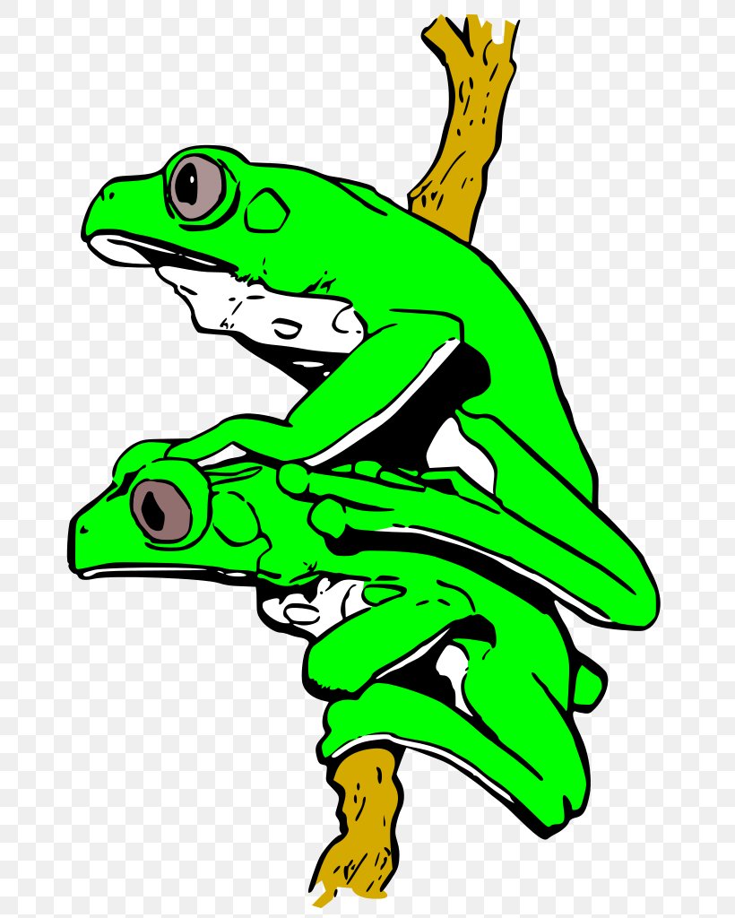 True Frog Tree Frog Drawing Clip Art, PNG, 707x1024px, True Frog, Amphibian, Animal, Animal Figure, Artwork Download Free