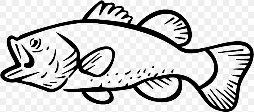 Bass Fishing Largemouth Bass Clip Art, PNG, 1000x445px, Bass, Area, Arm, Art, Artwork Download Free
