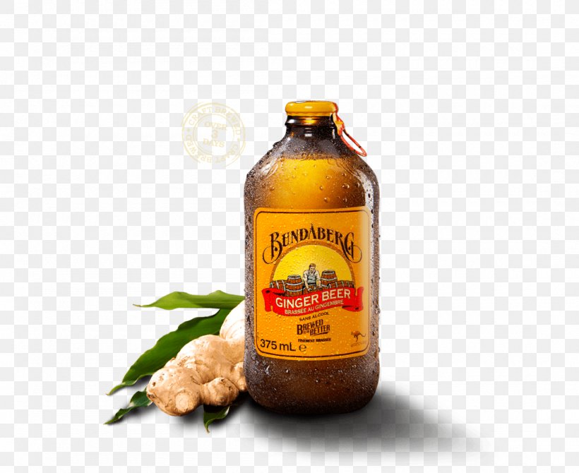 Ginger Beer Fizzy Drinks Root Beer Ginger Ale, PNG, 1100x900px, Ginger Beer, Alcoholic Drink, Beer, Beer Brewing Grains Malts, Bundaberg Brewed Drinks Download Free