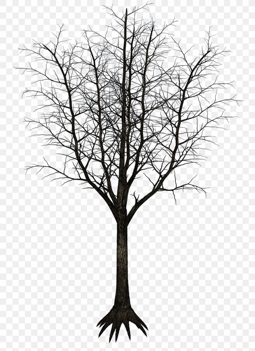 Tree Image Clip Art, PNG, 929x1280px, Tree, Black And White, Branch, Divorce, Husband Download Free