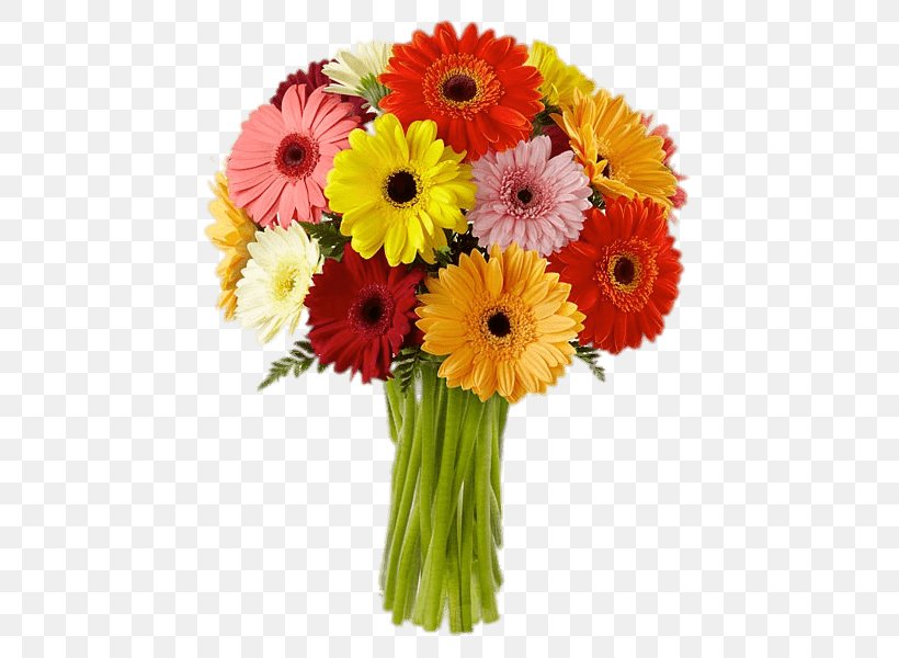 Transvaal Daisy Flower Bouquet Cut Flowers Floristry, PNG, 600x600px, Transvaal Daisy, Annual Plant, Carnation, Common Daisy, Cut Flowers Download Free