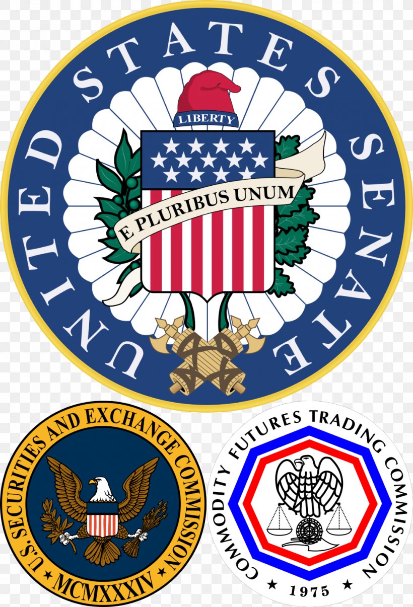 United States Of America Seal Of The United States Senate Democratic Party United States Congress, PNG, 1080x1589px, United States Of America, Area, Badge, Blue Slip, Brand Download Free