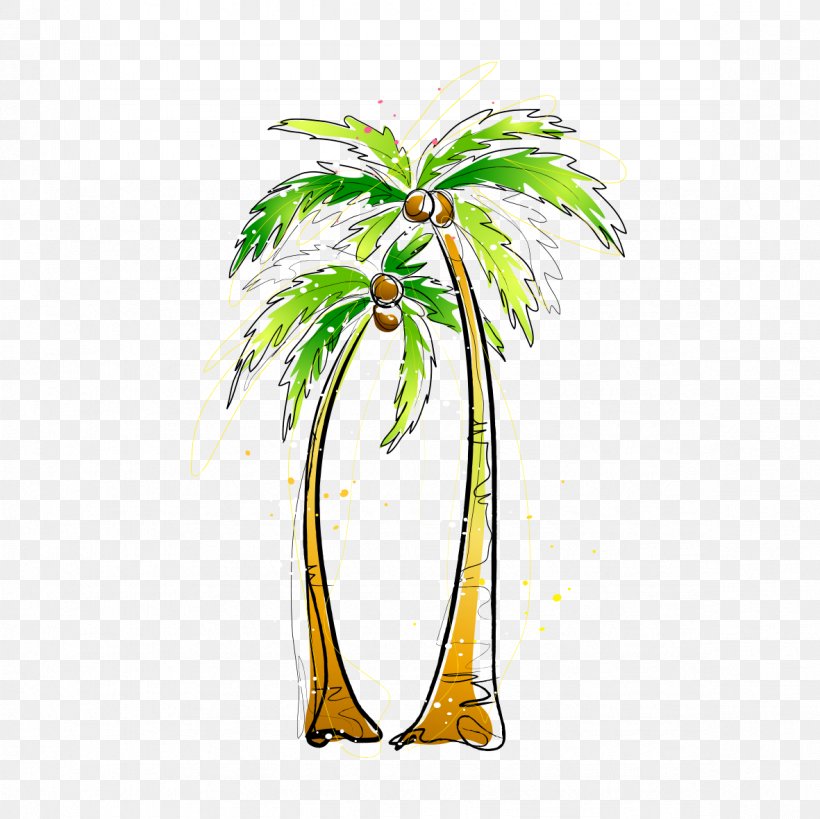 Arecaceae Coconut Painting Illustration, PNG, 1181x1181px, Arecaceae, Arecales, Branch, Cdr, Coconut Download Free