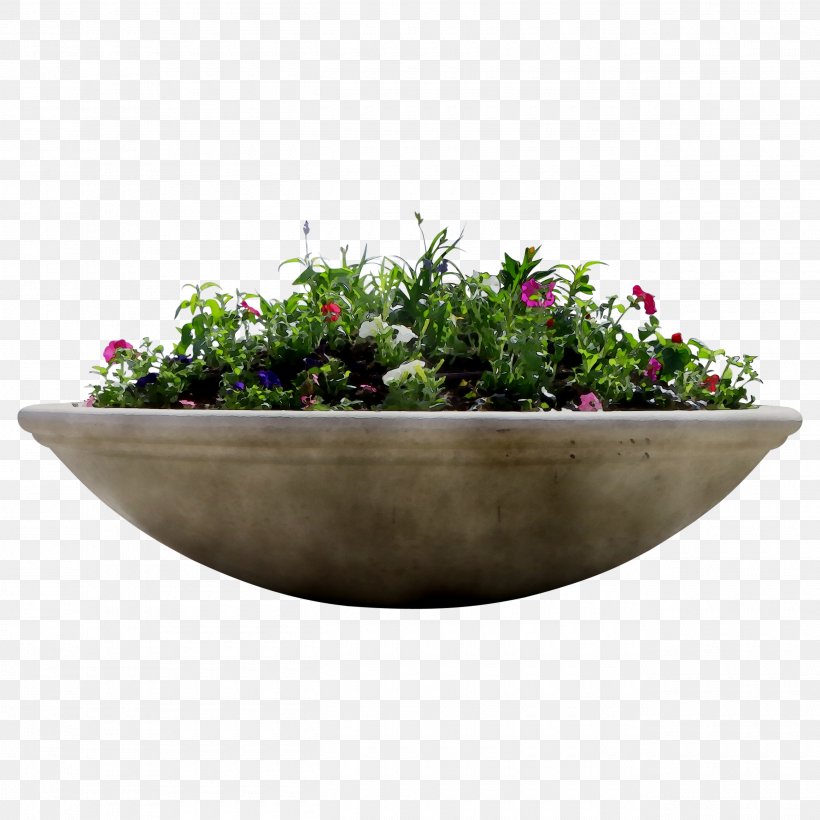 Bowl Herb, PNG, 2600x2600px, Bowl, Annual Plant, Flower, Flowerpot, Grass Download Free