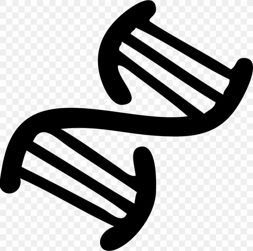 Clip Art DNA Nucleic Acid Double Helix Image, PNG, 980x974px, Dna, Dnabinding Domain, Helix, Helixturnhelix, Logo Download Free