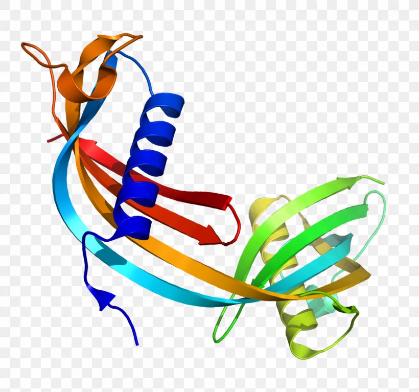 Cystatin C Immunology Renal Function Reagent Creatinine, PNG, 1200x1123px, Cystatin C, Artwork, Chronic Kidney Disease, Creatinine, Cystatin Download Free