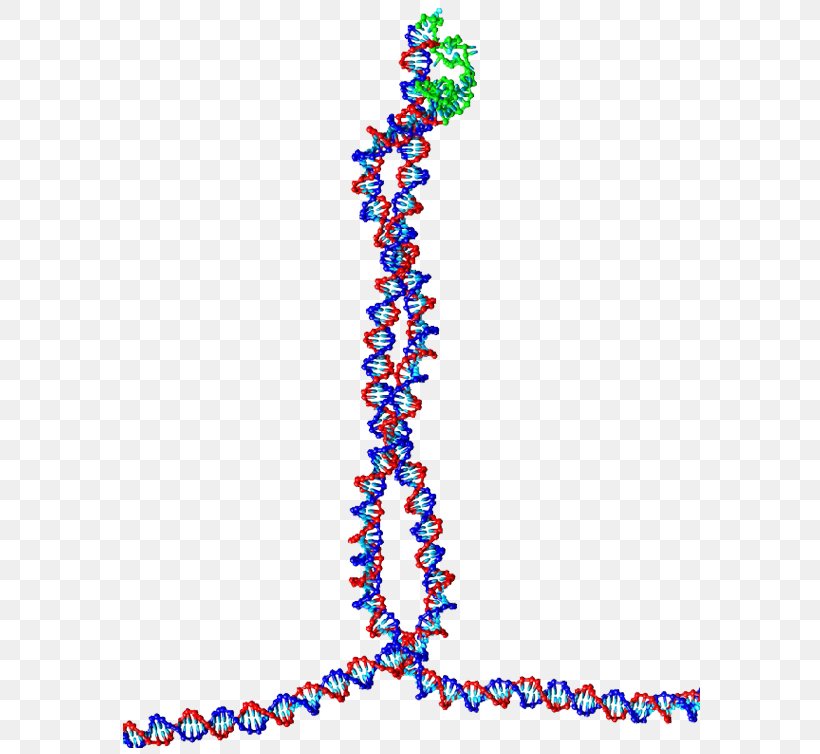 DNA Bead Nucleic Acid Double Helix Drug Delivery Capsule, PNG, 730x754px, Dna, Art, Bead, Body Jewellery, Body Jewelry Download Free