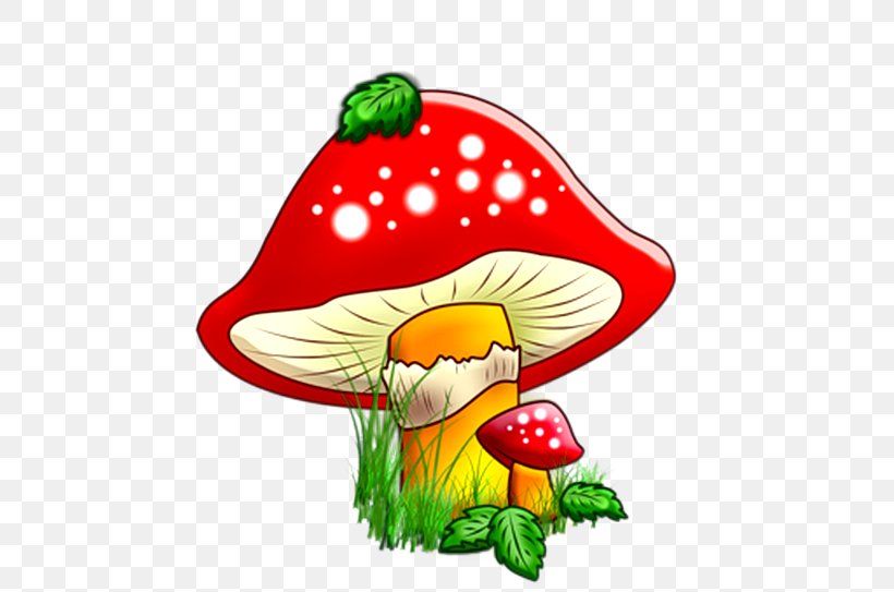 Fungus Edible Mushroom Child Brown Cap Boletus, PNG, 500x543px, Fungus, Amanita, Art, Aspen Mushroom, Beak Download Free