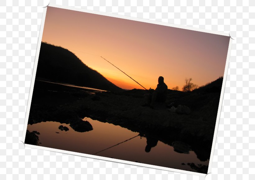 Mahseer Stock Photography Fishing Silhouette, PNG, 703x579px, Mahseer, Angling, Fishing, Geological Phenomenon, Heat Download Free