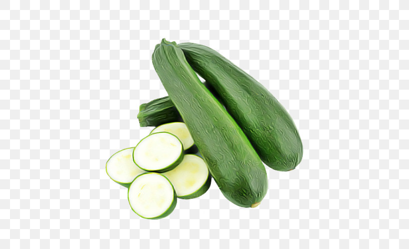 Vegetable Cucumber Food Cucumber, Gourd, And Melon Family Summer Squash, PNG, 500x500px, Vegetable, Armenian Cucumber, Cucumber, Cucumber Gourd And Melon Family, Cucumis Download Free