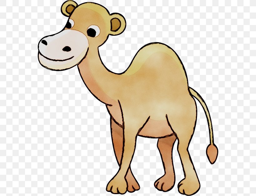 Dromedary Cattle Clip Art Bactrian Camel Mammal, PNG, 579x628px, Dromedary, Action Toy Figures, Animal, Animal Figure, Arabian Camel Download Free