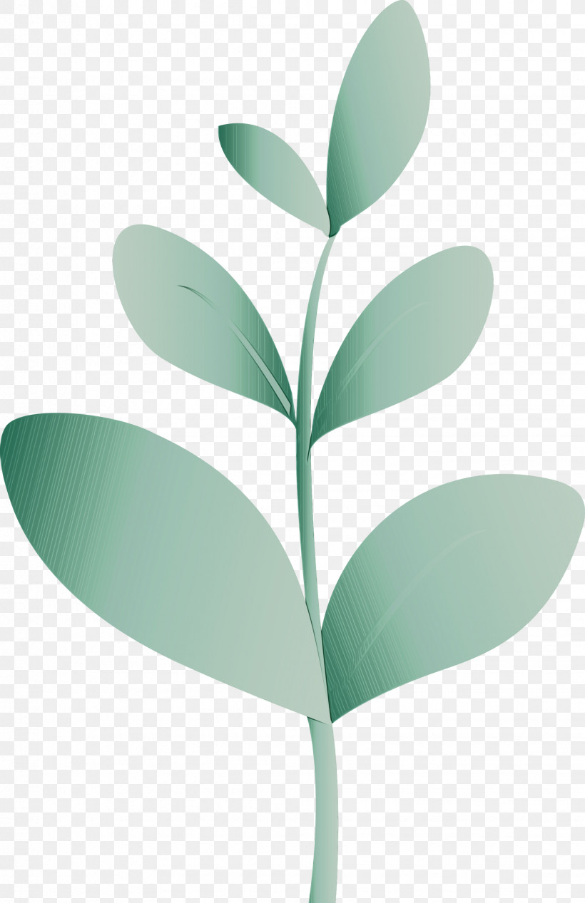Leaf Green Plant Flower Tree, PNG, 1941x3000px, Sprout, Bud, Eucalyptus, Flower, Flush Download Free
