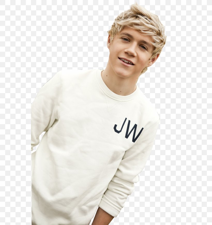 Niall Horan One Direction Male Boy Band Hairstyle, PNG, 580x870px, Watercolor, Cartoon, Flower, Frame, Heart Download Free