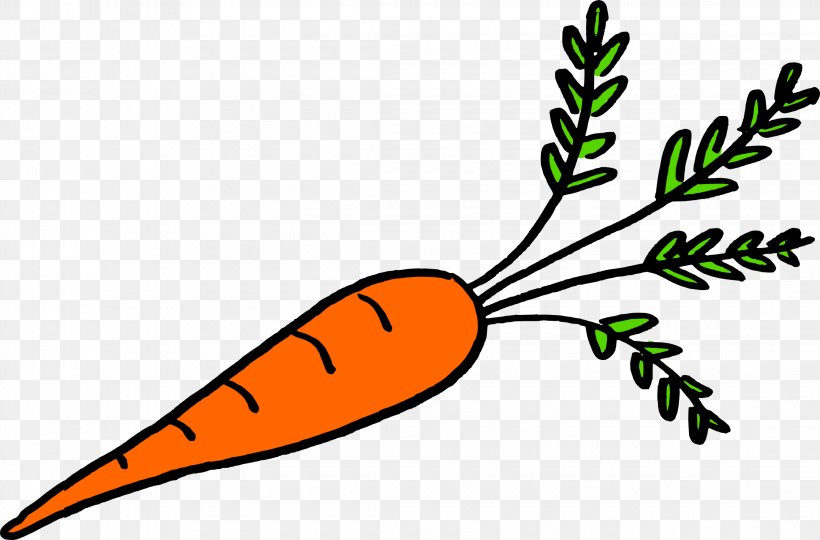Vegetable Plant Stem Leaf Food, PNG, 2240x1476px, Vegetable, Artwork, Beak, Carrot, Eating Download Free