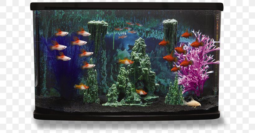 Aquarium Siamese Fighting Fish PetSmart Tropical Fish Aquascaping, PNG, 700x430px, Aquarium, Aquarium Decor, Aquarium Lighting, Aquascaping, Coral Reef Download Free
