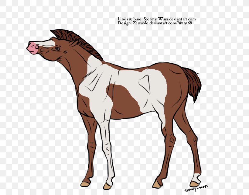 Mule Foal Stallion Colt Mare, PNG, 700x641px, Mule, Bridle, Colt, Fictional Character, Foal Download Free