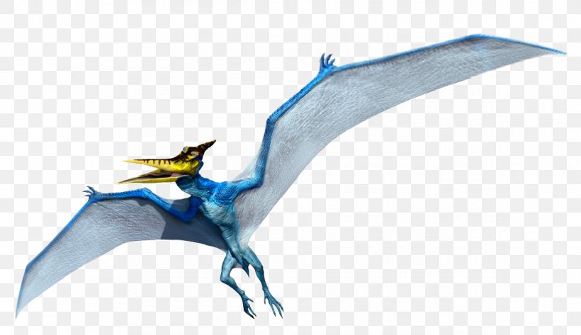 Pteranodon Microceratus Mosasaurus Velociraptor Dimorphodon, PNG, 1164x672px, Pteranodon, Cretaceous, Dimorphodon, Dinosaur, Dragon Download Free