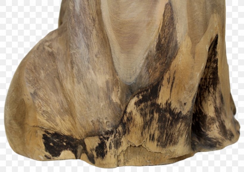 Snout Fur, PNG, 1087x768px, Snout, Fur, Jaw, Rock, Wood Download Free