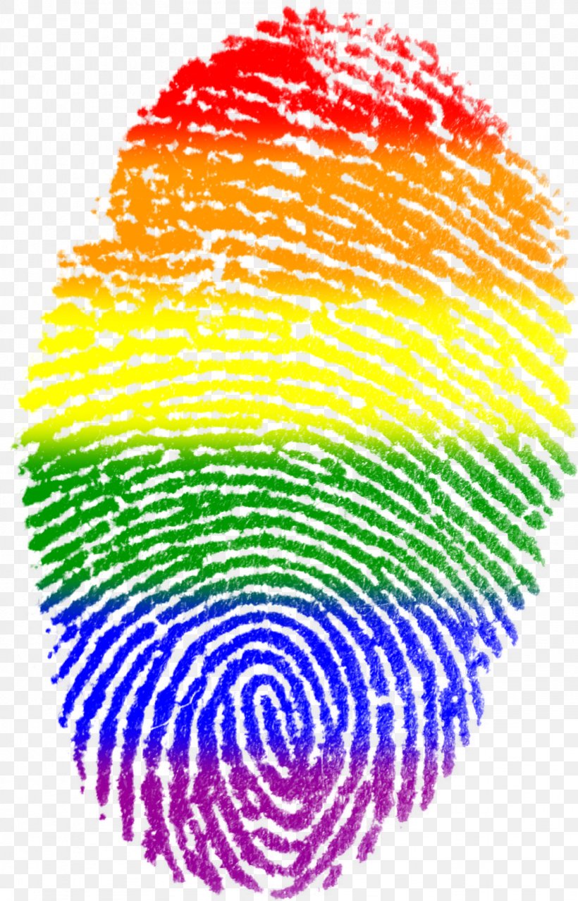 Fingerprint Rainbow Flag LGBT Symbols, PNG, 821x1280px, Watercolor, Cartoon, Flower, Frame, Heart Download Free
