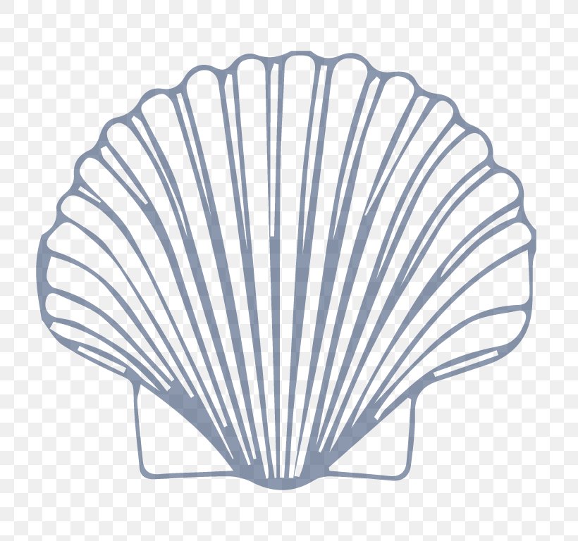 Seashell Mollusc Shell Drawing Pectinidae Nautilidae, PNG, 768x768px, Seashell, Animal, Argonaut, Coloring Book, Decorative Fan Download Free