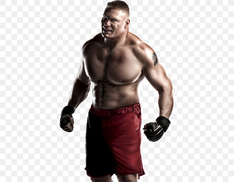 Brock Lesnar High-definition Video Download Display Resolution, PNG, 406x640px, Watercolor, Cartoon, Flower, Frame, Heart Download Free