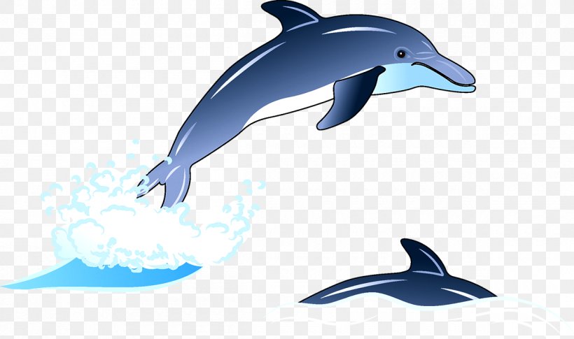 Common Bottlenose Dolphin Wholphin Tucuxi Rough-toothed Dolphin Dolphin, Dolphin, PNG, 1200x711px, Common Bottlenose Dolphin, Cartoon, Dolphin, Dolphin Dolphin, Drawing Download Free