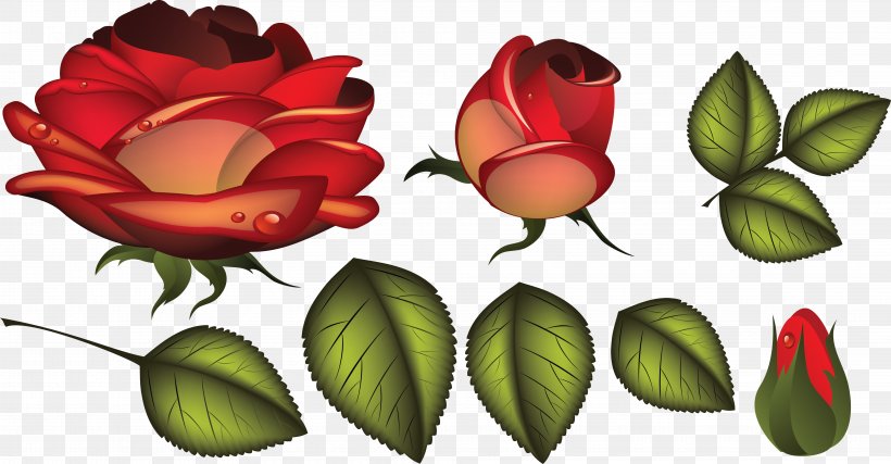 Cut Flowers Garden Roses Clip Art, PNG, 3946x2055px, Flower, Bud, Cut Flowers, Flora, Floral Design Download Free