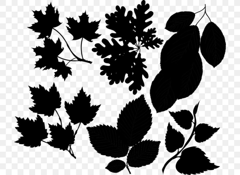 Flowering Plant Fruit Pattern Font, PNG, 724x600px, Flower, Black M, Blackandwhite, Botany, Branch Download Free