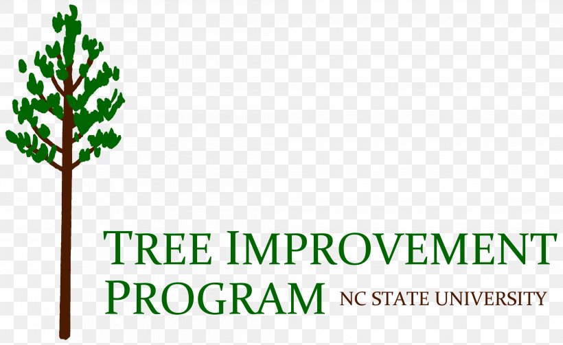 NCSU Tree Improvement Cooperative Logo Forest Branch, PNG, 4224x2592px, Tree, Branch, Brand, Cooperative, Fir Download Free