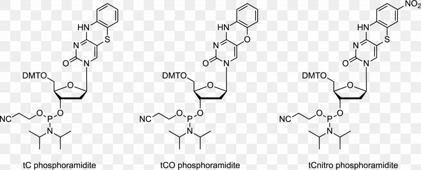 Phosphoramidite Adenine Oligonucleotide Synthesis Guanine, PNG, 5980x2420px, Phosphoramidite, Adenine, Auto Part, Black And White, Body Jewelry Download Free