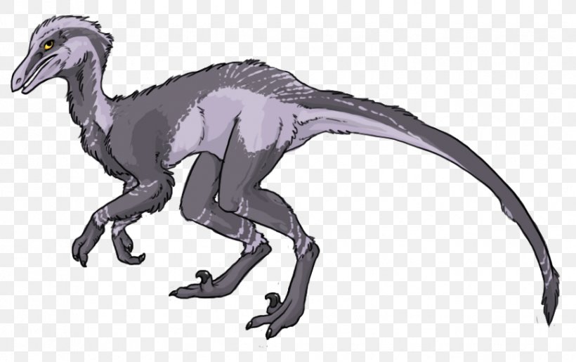 Velociraptor Pyroraptor Graciliraptor Taveirosaurus Dinosaur, PNG, 868x546px, Velociraptor, Animal, Animal Figure, Art, Deviantart Download Free