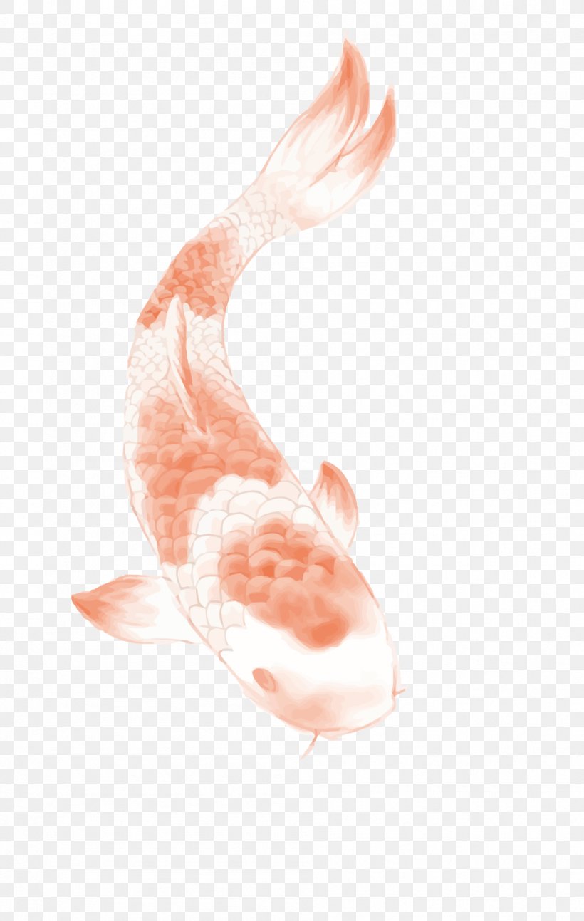 Butterfly Koi Tattoo, PNG, 951x1500px, Koi, Art, Butterfly Koi, Carp, Color Download Free