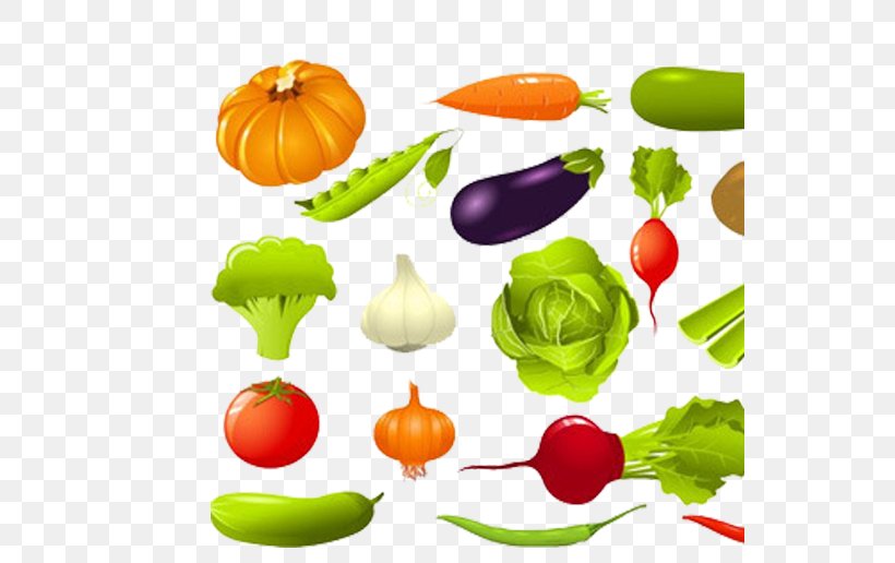 Leaf Vegetable Cucumber Clip Art, PNG, 544x516px, Vegetable, Beetroot, Calabaza, Cucumber, Cucurbita Download Free