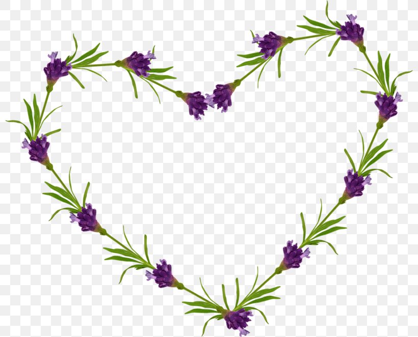 Comme Les Papillons Flower Lavender, PNG, 800x662px, Watercolor, Cartoon, Flower, Frame, Heart Download Free