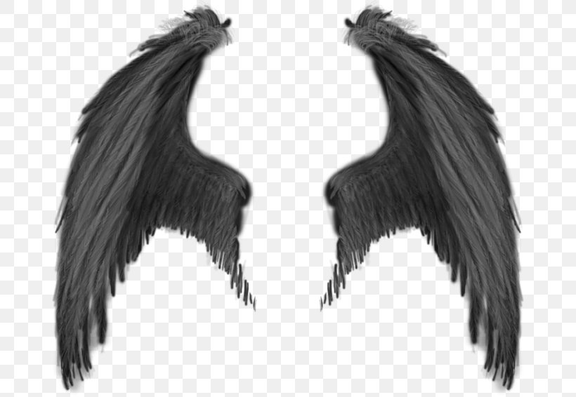 Demon Devil Angel, PNG, 700x566px, Demon, Angel, Black And White, Devil, Feather Download Free